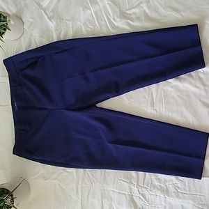 Apt 9 Capri Dress Pant Style Torie - Size 12